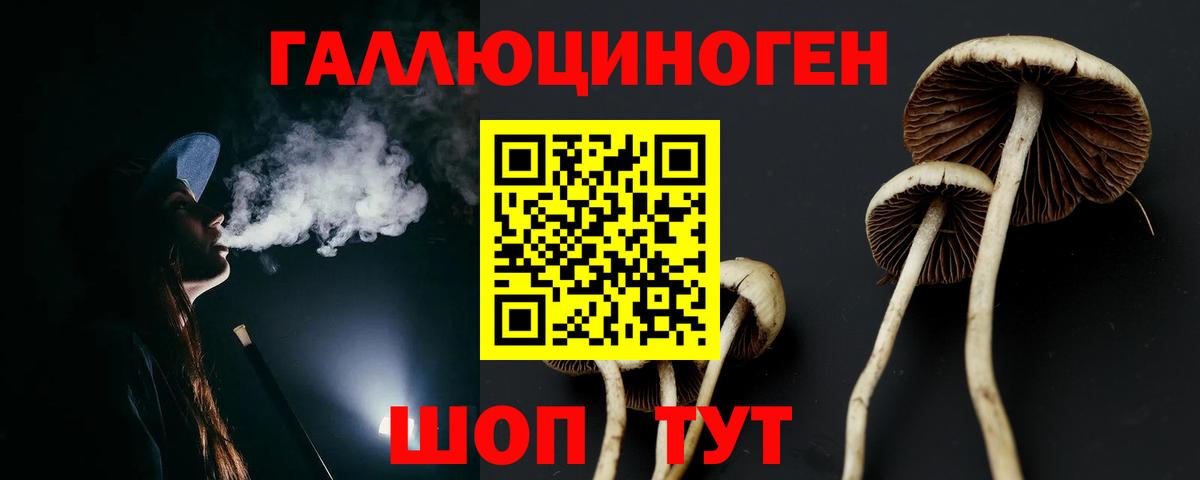 Вологда  Псилоцибиновые грибы GOLDEN TEACHER  Галлюциногенные грибы ЛСД  Вход с VPN 